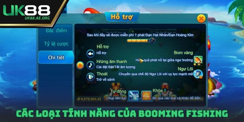 Các loại tính năng của Booming Fishing