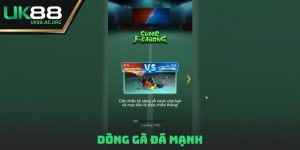 dòng gà đá mạnh