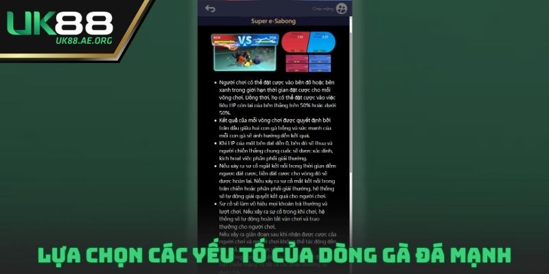 Lựa chọn các yếu tố của dòng gà đá mạnh