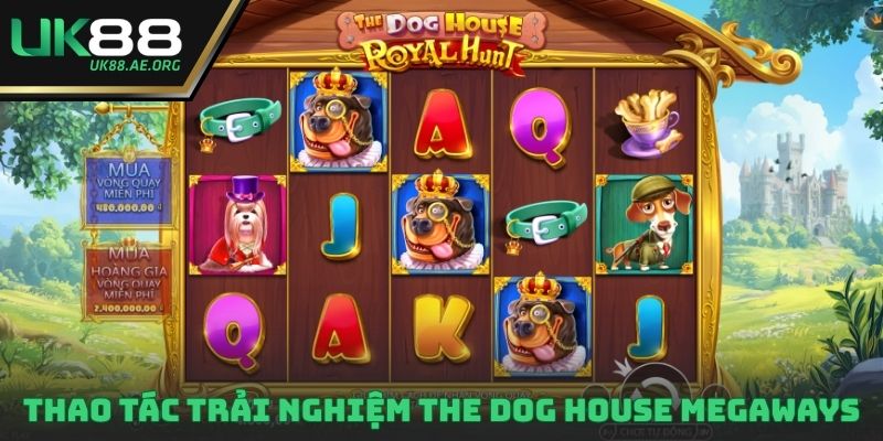 Thao tác trải nghiệm The Dog House Megaways