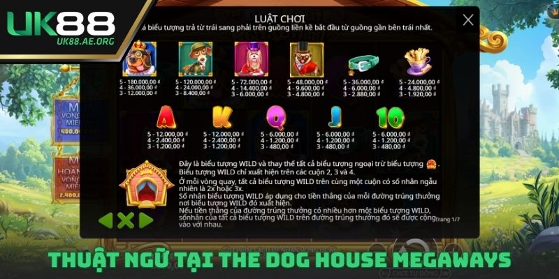 Thuật ngữ quan trọng tại The Dog House Megaways