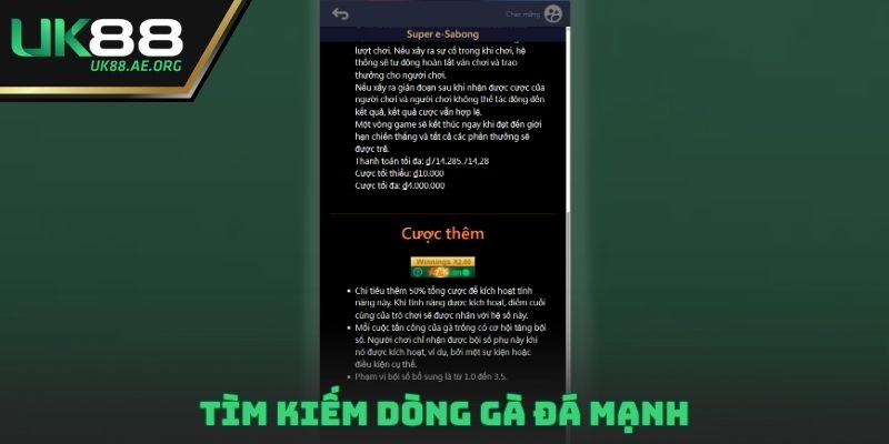 Tìm kiếm dòng gà đá mạnh